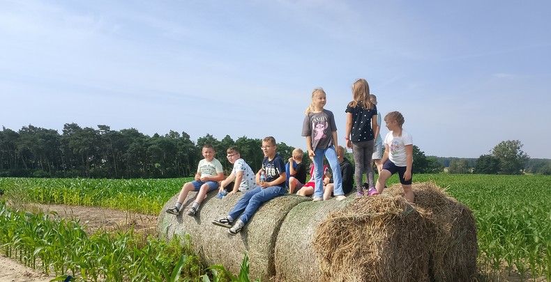 Wycieczka klasy II do gospodarstwa rolnego